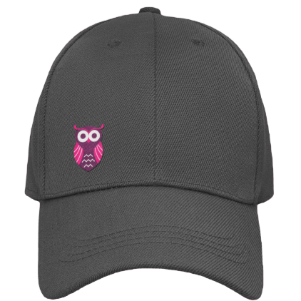 inspiring owl hat cap grey