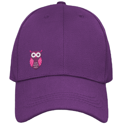 inspiring owl hat cap purple